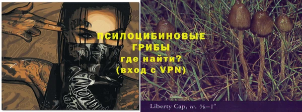 МДПВ Бронницы