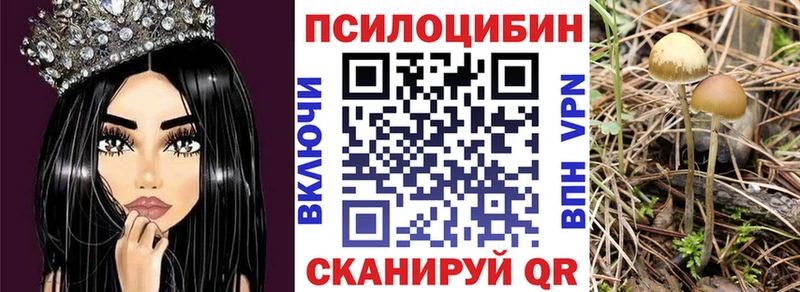 Галлюциногенные грибы MAGIC MUSHROOMS  купить   Верхний Уфалей 